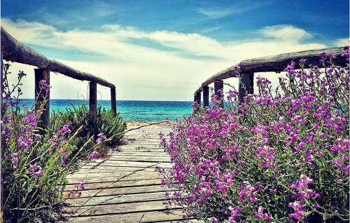 Nice Home In Manduria With 2 Bedrooms