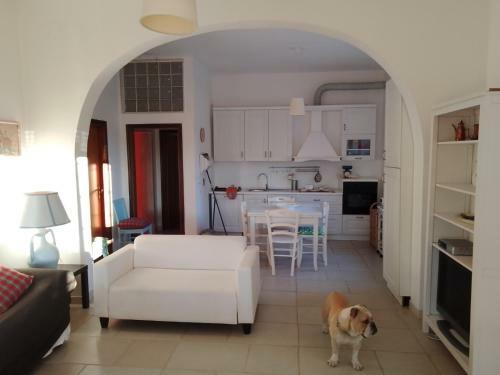 Villa Guest House Conte Quidello