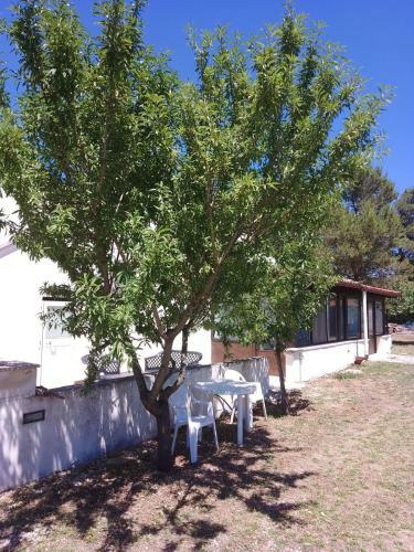 Villa Guest House Conte Quidello