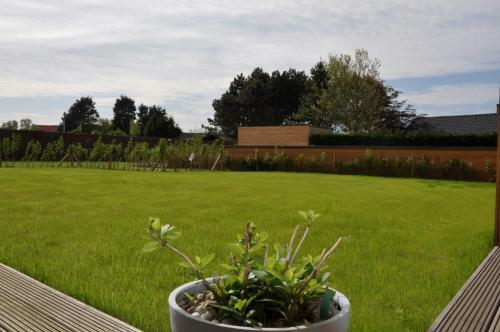 Bed & Breakfast Apartment Belise
