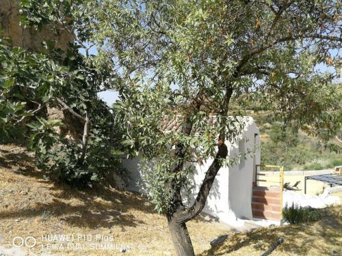 Apartamento Molino Mio
