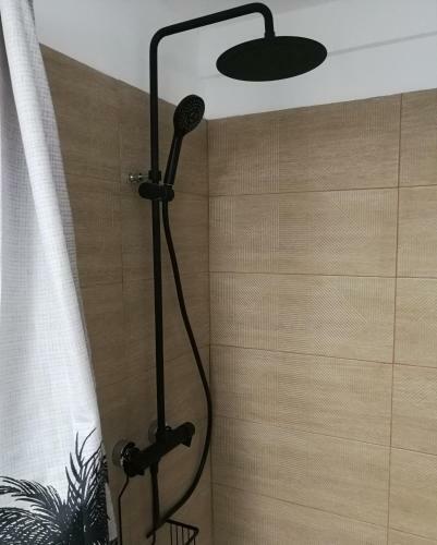 Apartamento Molino Mio