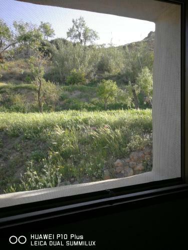 Apartamento Molino Mio