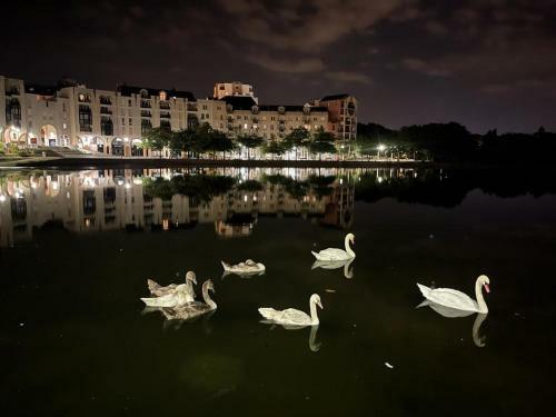 Vue Exceptionnelle Sur Le Lac