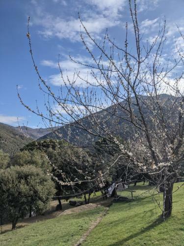 Respira Glamping Montseny