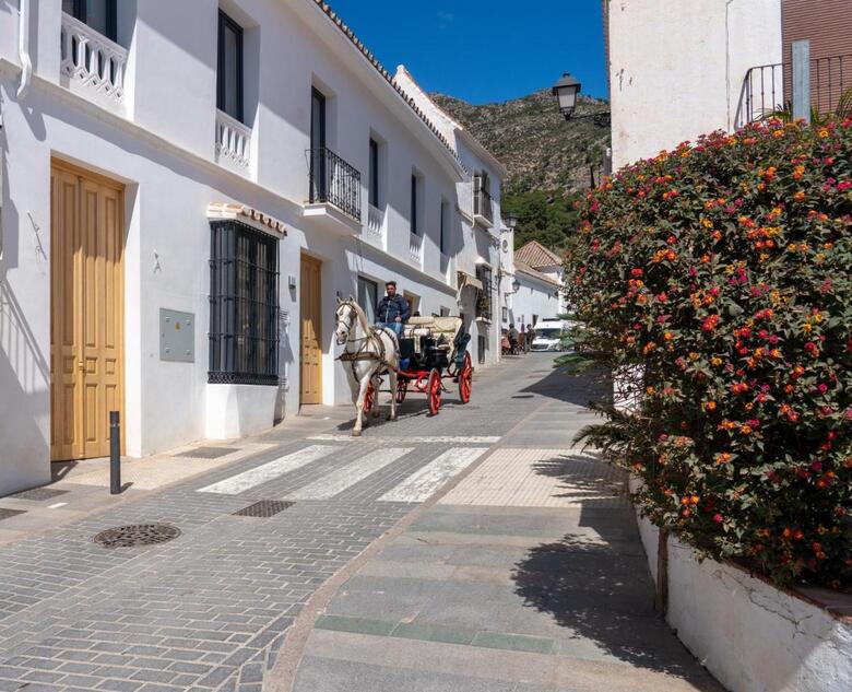 Opuntia Boutique Hotel