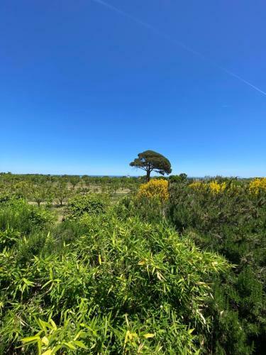 Agroturismo Masseria Sanr�