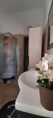 Apartamento Domo Mea