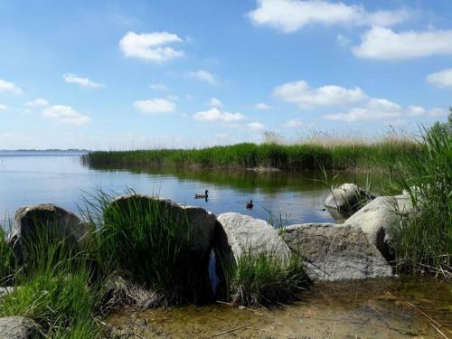 Apartamento Ferienwohnung "strandgut" Koserow