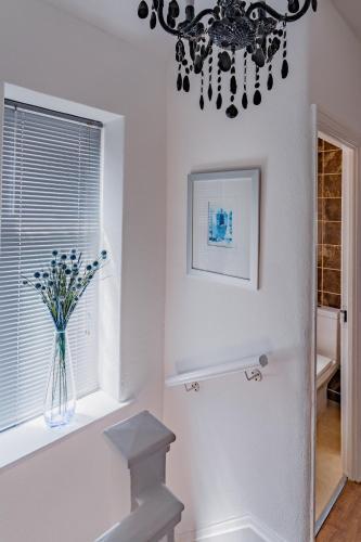 Homebird Property - Carter Knowle House #2