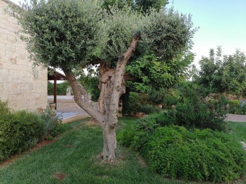 Apartamento Villa Di Grassi - Locazione Turistica