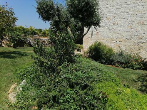 Apartamento Villa Di Grassi - Locazione Turistica