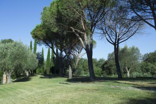 Hostal Casale Degli Ulivi