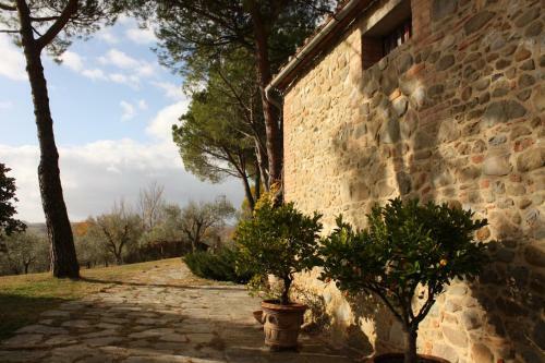 Hostal Casale Degli Ulivi