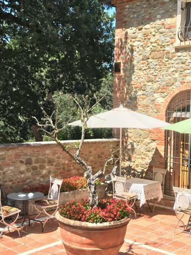 Hostal Casale Degli Ulivi