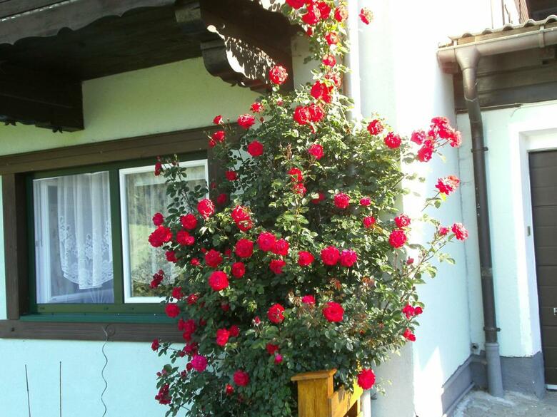 Landhaus Tauernblick