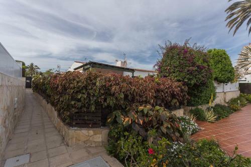 Flatguest Las Tartanas II