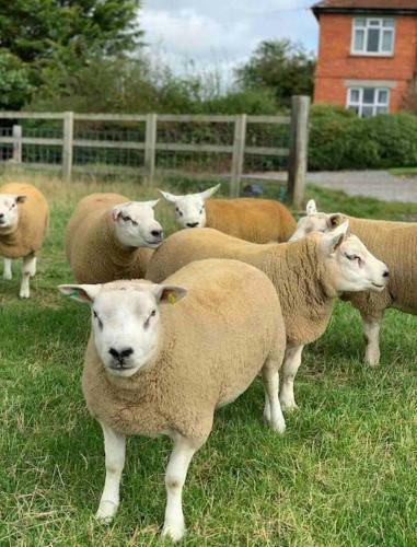 Shepherds Hideaway Farmhouse
