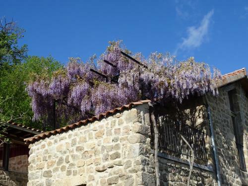 Hotel G�te De Chapel�che Les Glycines