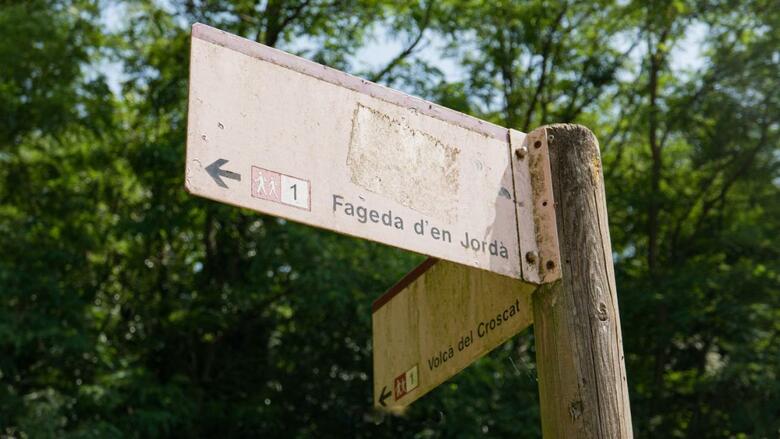 Can Baseia - Amb Jard� I Acc�s Privat A La Fageda