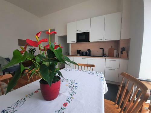 Apartamento Ferienwohnung Altstadthaus