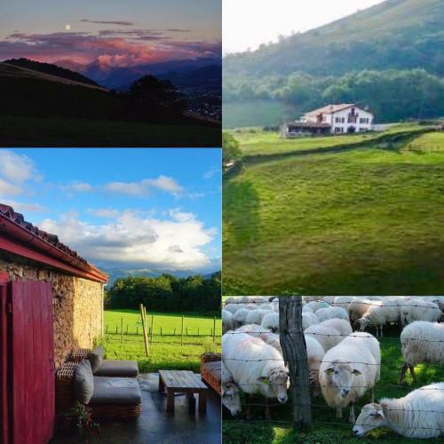 Bed & Breakfast Maison Chulubitenia