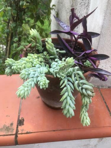 Apartamento Da Anna & Clemente
