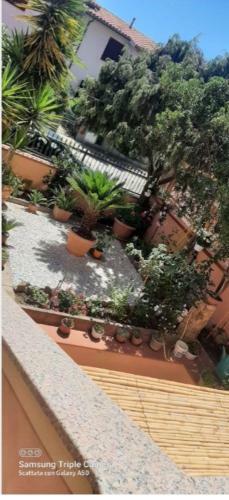 Apartamento Dod�stella