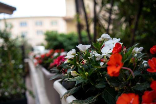 Hostal Luxury Cecilia