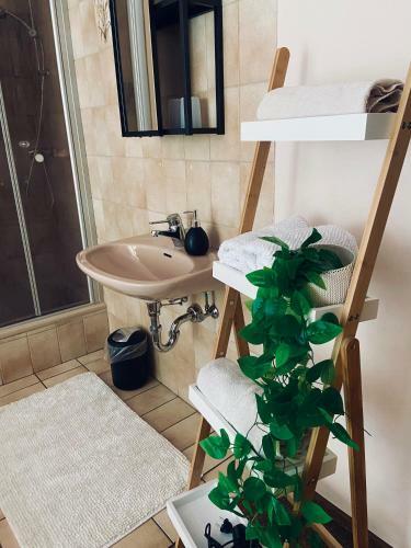 Apartamento Forsterhof