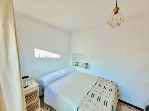 Apartamento Amplia Casa Con Azotea Privada En El Casco Antiguo