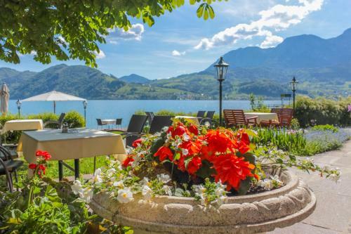 Hotel Seegasthof Stadler