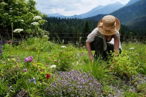Bed & Breakfast Alpenretreat