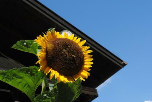 Apartamento Naturhaus Andrea