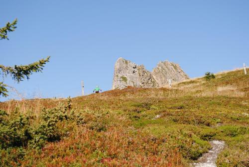 Apartamento Naturhaus Andrea