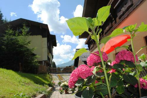 Apartamento Naturhaus Andrea
