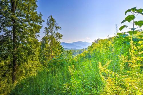 Pet-friendly Moutain Escape With Deck And Grill