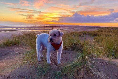 Sea Breeze