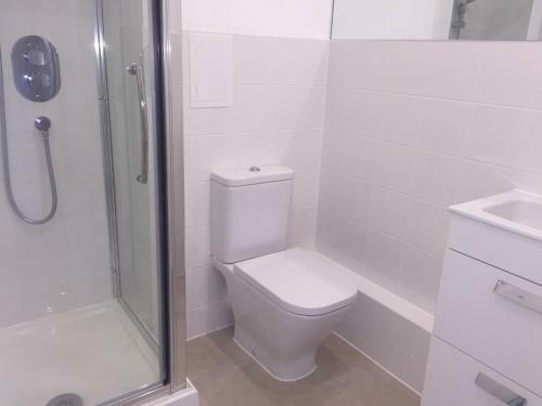 Large Room London With Terrace & Kitchen