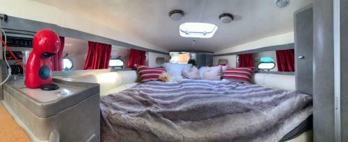 Jacht Motorowy, Princess 266