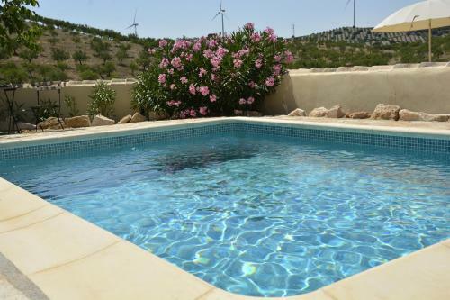 Bed & Breakfast Luz De La Luna