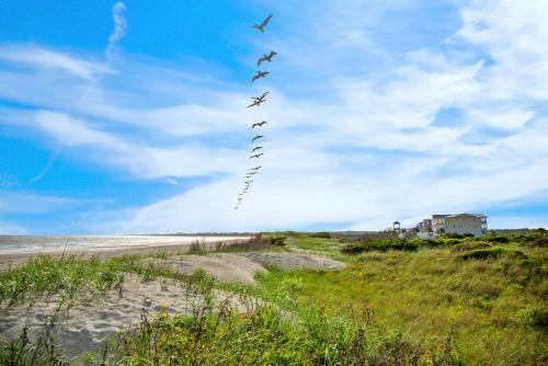 Champagne Shore By Oak Island Accommodations