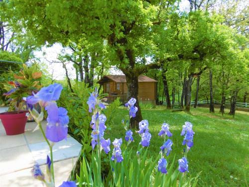 Charmant Chalet En Bois �quip� Confortablement
