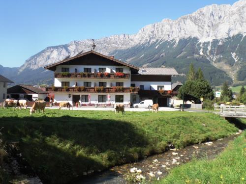 Hostal Pension Tilly