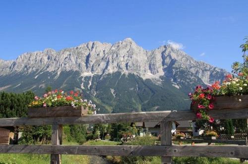 Hostal Pension Tilly