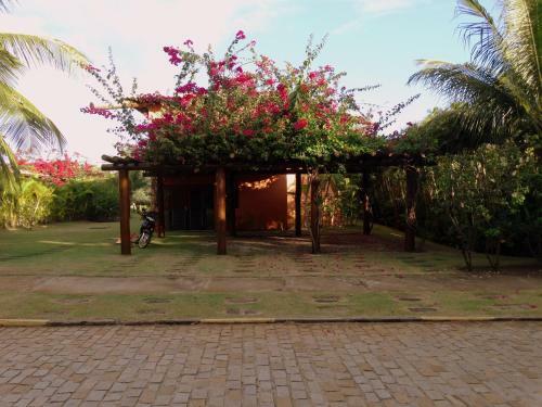 Villa Casa Splinter