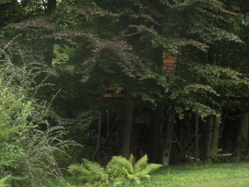 B&B La Cabane Du Bois Dormant