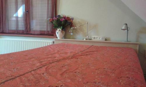 Hostal Guesthouse Kolibriehuys