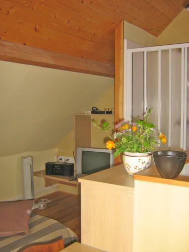 Hostal Guesthouse Kolibriehuys