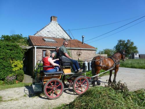 Hostal Guesthouse Kolibriehuys